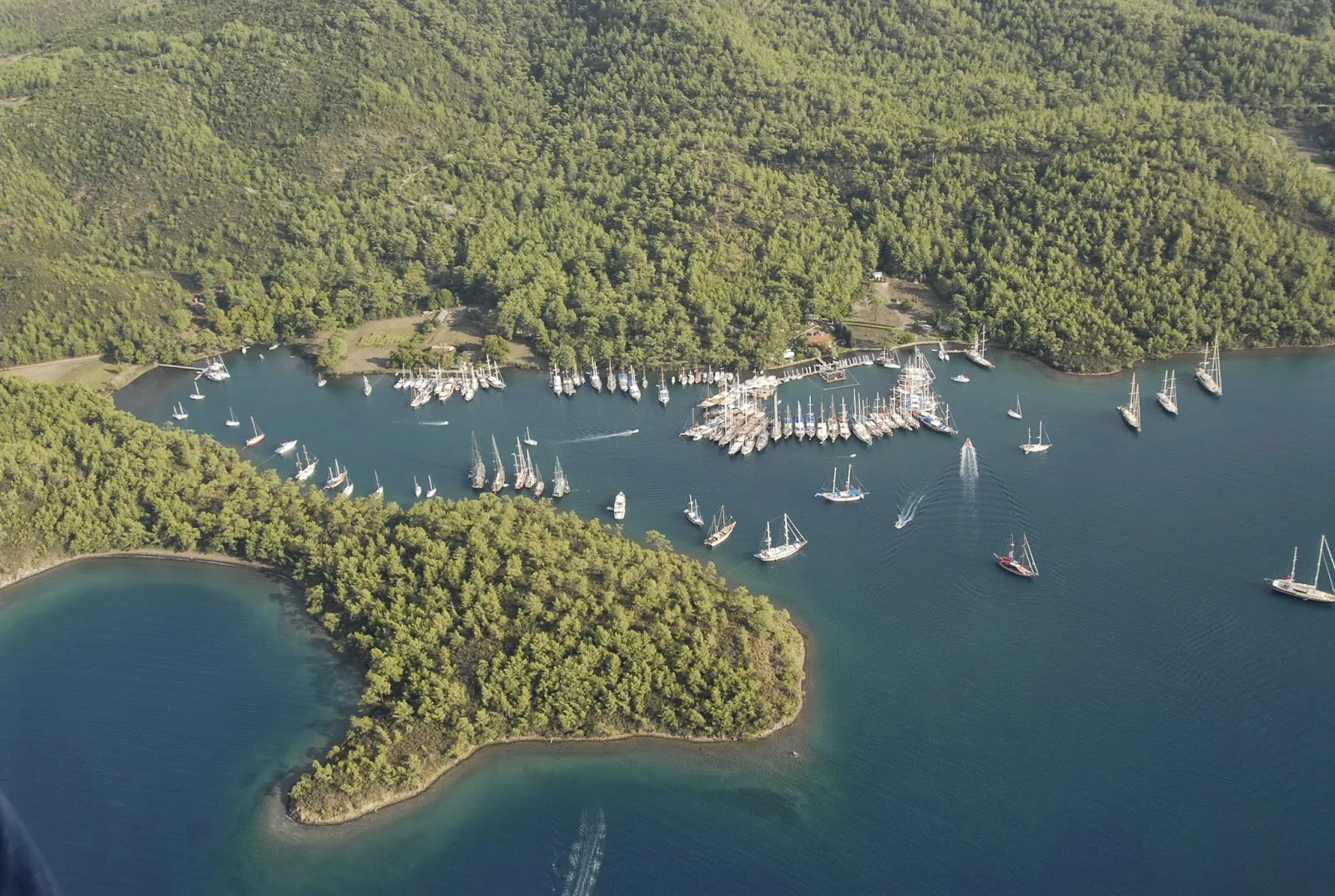 okluk bay